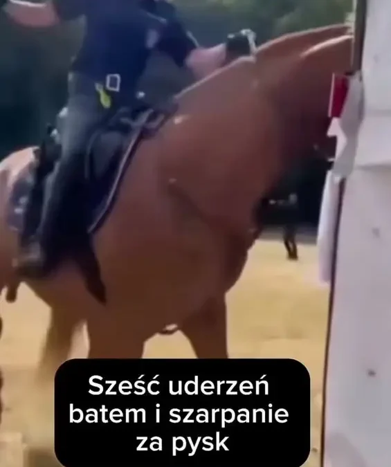 Kontrowersje wokół strażniczki miejskiej na zawodach jeździeckich w Łodzi