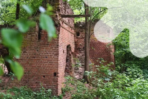 Archeolodzy z UŁ badają renesansowy dwór w Mikorzycach. Co kryją ruiny?