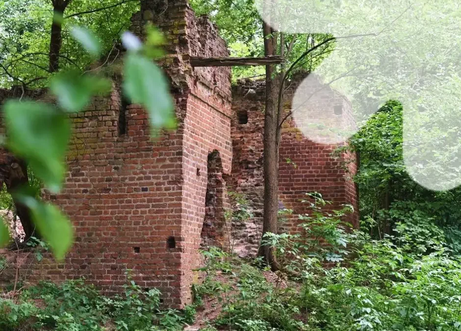 Archeolodzy z UŁ badają renesansowy dwór w Mikorzycach. Co kryją ruiny?