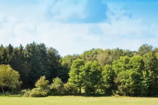 Gmina Brójce sprzedaje działkę w Bukowcu pod zabudowę mieszkaniową