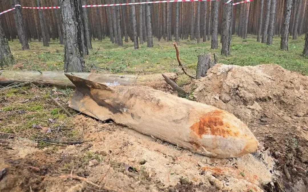 Trzy bomby lotnicze z II wojny światowej znalezione w lesie pod Opocznem