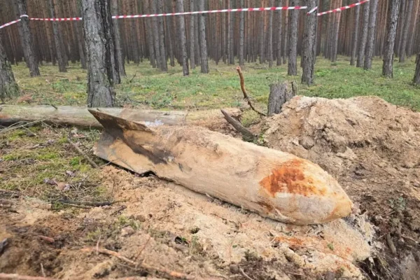 Trzy bomby lotnicze z II wojny światowej znalezione w lesie pod Opocznem
