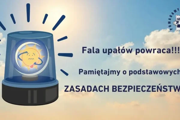Upały wracają – jak bezpiecznie przetrwać gorące dni?
