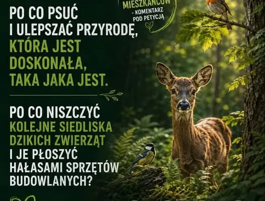 Mieszkańcy Łodzi bronią zieleni: „Las ma pozostać lasem”