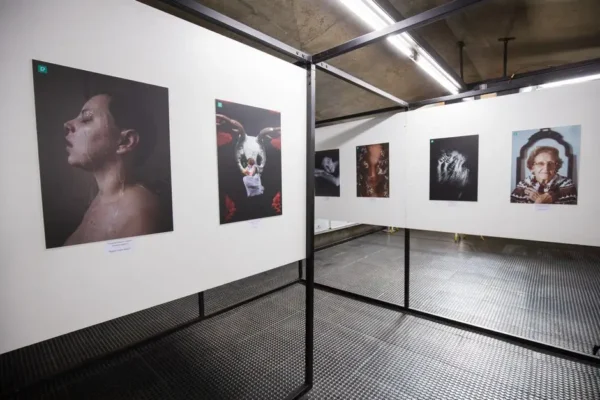 Pracownia Portretu: galeria sztuki na Księżym Młynie zaprasza na wystawę Alicji Pangowskiej