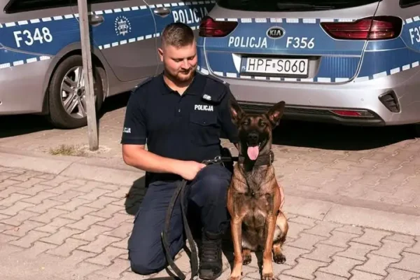 Wenecja – nowa czworonożna funkcjonariuszka tomaszowskiej Policji