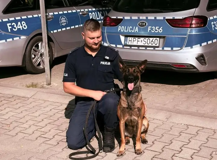 Wenecja – nowa czworonożna funkcjonariuszka tomaszowskiej Policji