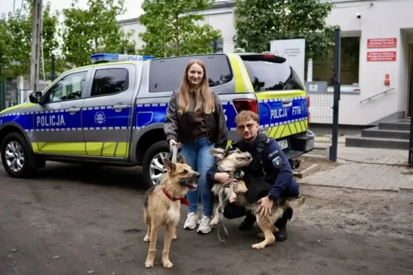 Policjant z Łodzi zamienił kwiaty weselne na karmę dla zwierząt