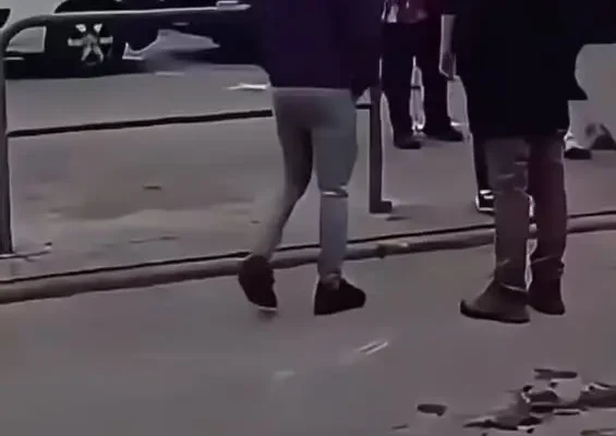 Protest przed targami koni w Pajęcznie. Organizacje prozwierzęce krytykują wydarzenie