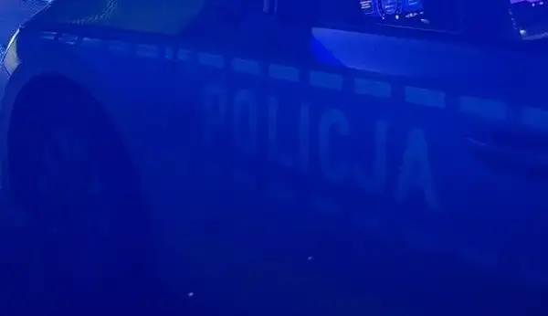 Zderzenie na A1 w gm. Tuszyn. Droga była zablokowana w obu kierunkach