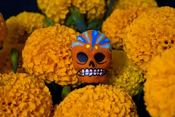 Dia de los Muertos w Metro – tańsze bilety tylko do wyczerpania zapasów