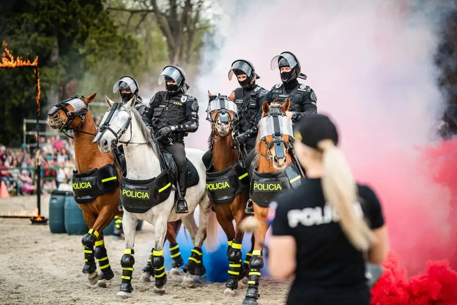 Policjanci na koniach ćwiczyli przed zabezpieczeniem imprez masowych